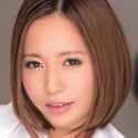 小宝寻花