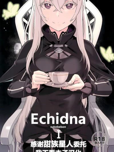 [甜族星人x我不看本子汉化]  (C99) [御花畑 (芝石ひらめ)] Echidna sukebebon