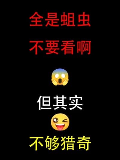 [Wolara] 原神福利阳曲