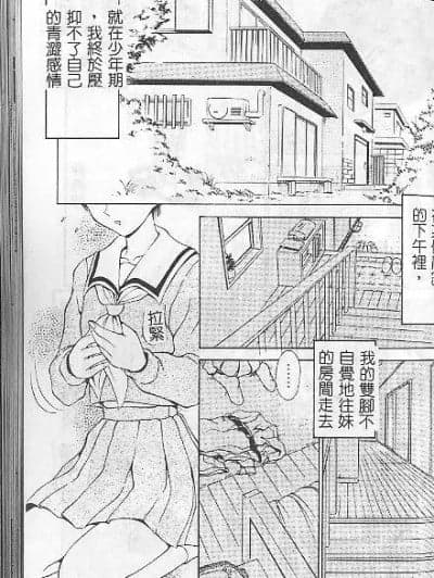 乙女座の少年 [中国翻訳]
