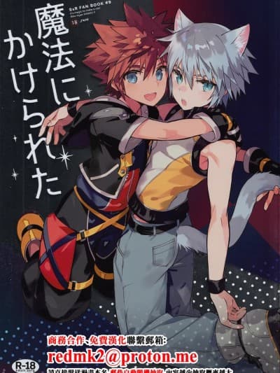 (C94) [esto (ニノモトコ)] 魔法にかけられた (キングダム ハーツ) [中国翻訳]