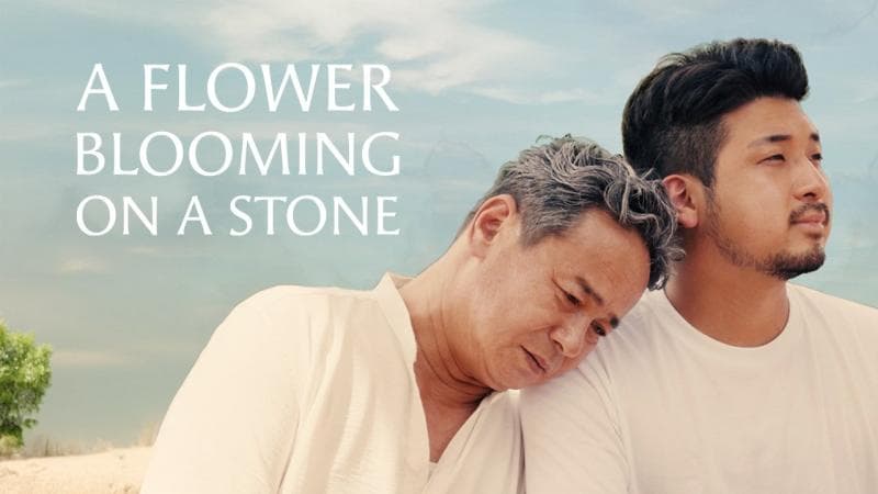 花开在迟暮时