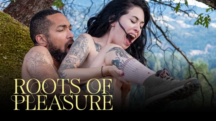 快乐的根源(Roots of Pleasure)
