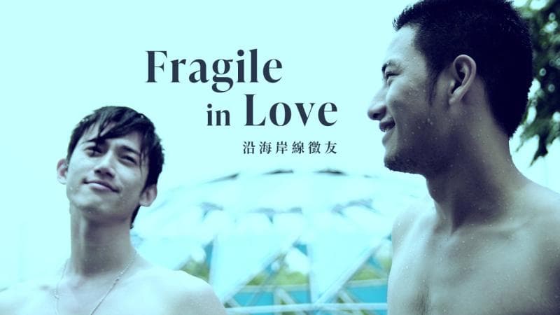 沿海岸线征友