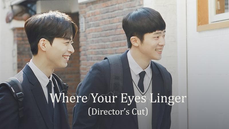 在你视线停留的地方 导演版