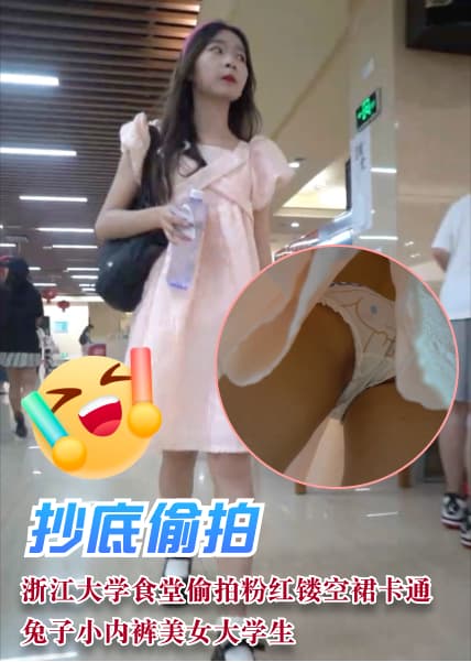 浙江大学食堂偷拍抄底粉红镂空裙卡通兔子小内裤美女大学生【抄底偷拍】