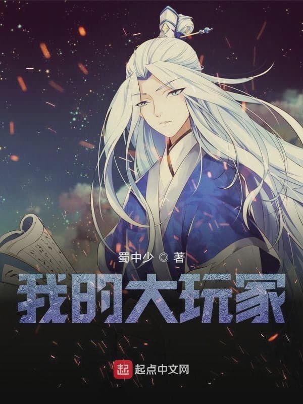 我的大玩家