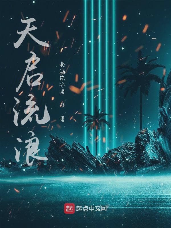 天启流浪