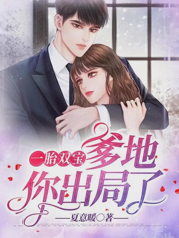 一胎双宝:爹地,你出局了