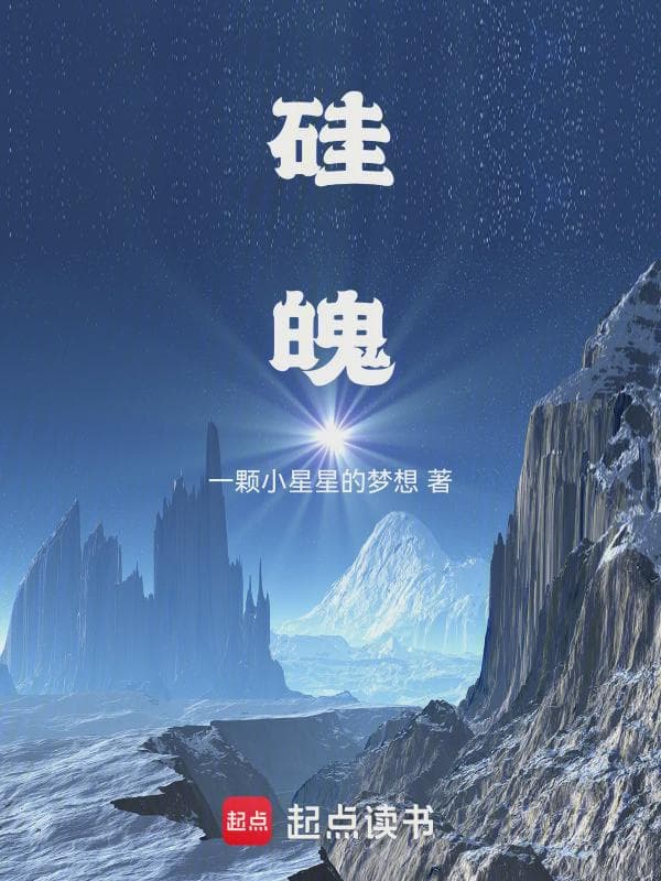 硅魄