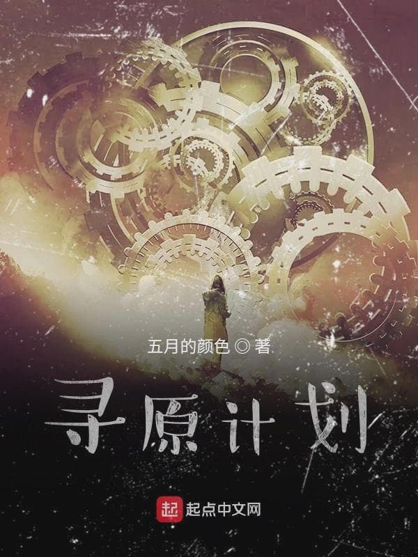 寻原计划
