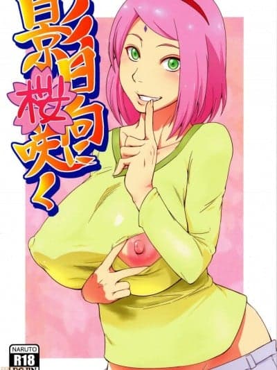(C90) [からきし佣兵団 真雅 (砂原渉)] 影日向に桜咲く (NARUTO -ナルト-) [中国翻訳][カラー化]