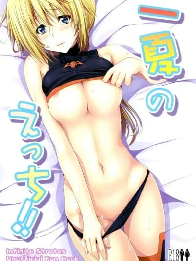 (COMIC1☆5) [ゆめようび (一梦)] 一夏のえっち!! (IS＜インフィニット・ストラトス＞) [中国翻訳]