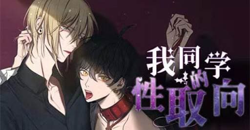 我同期的取向/我同学的性取向