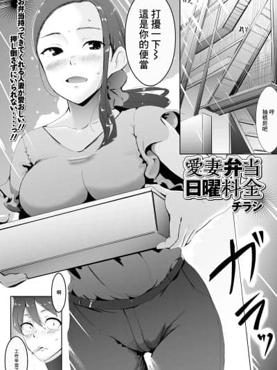 [チラシ] 爱妻弁当日曜料金