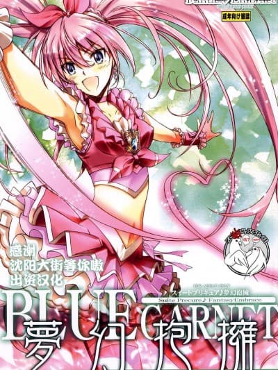 [不咕鸟汉化组] (C80)[BLUE GARNET(芹沢克己)] 梦幻抱拥(スイートプリキュア)