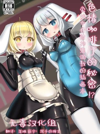[无毒汉化组] [Otomo-Mochi] ラバーカフェの里事情！？うさっこが拘束されて责められるイラスト本