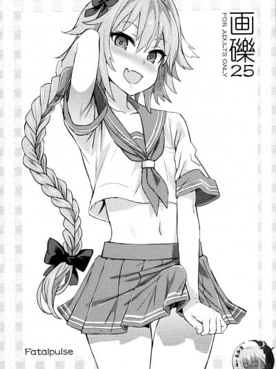 [阿鸣个人汉化] (C92) [Fatalpulse (朝凪)] 画砾 25 (よろず) [中国翻訳]