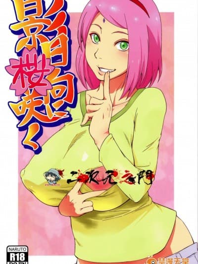 [からきし佣兵団 真雅 (砂原渉)] 影日向に桜咲く (NARUTO -ナルト-) [2D-Gate 双子汉化]