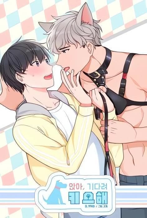 坐下，等等，kiss