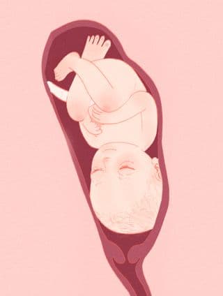 女娃