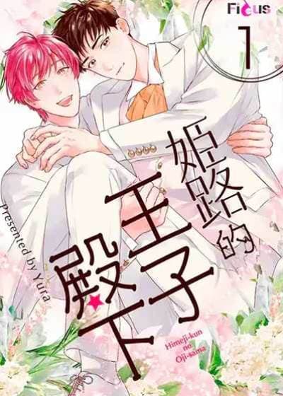 姬路的王子殿下