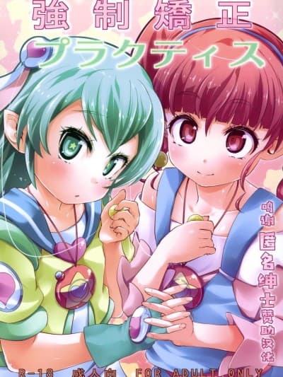 [转尾巴猫汉化] (C97) [CLUTCH SHOT KING (滑空)] 强制矫正プラクティス (スター☆トゥインクルプリキュア) [中国翻訳]