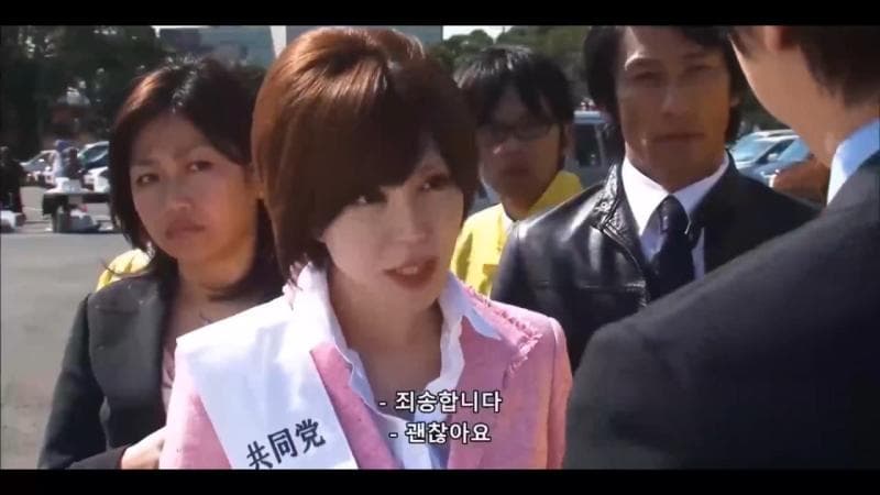 漂亮的女国会议员 HD中字