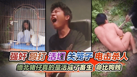 【真实缅北】强奸殴打活埋关笼子电击杀人每天都在发生，成为缅北猪仔活成了畜生