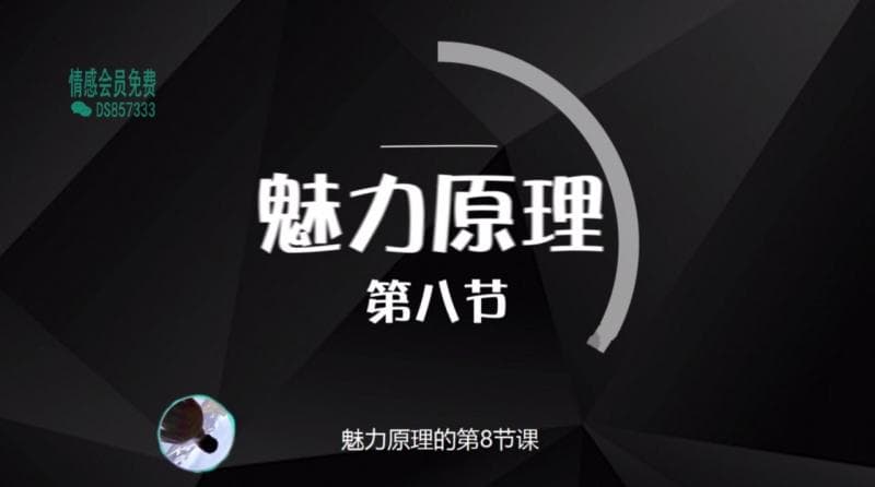 2020魅力原理   8魅力原理第八集