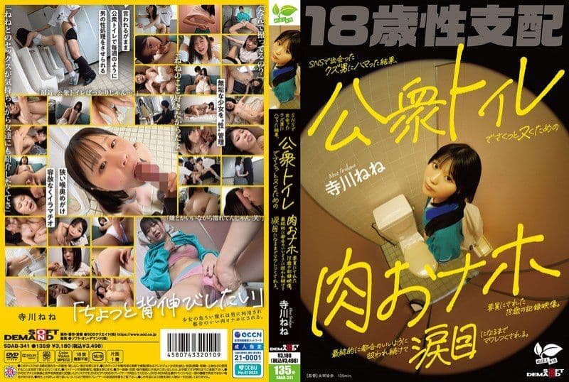 迷恋在社交网站上认识的渣男，最终成为他用来在公共厕所里轻松解决性需求的肉体工具的18岁记录影片。被持续地处理得符合他方便的方式，直到眼泪模样被完全利用。 寺川宁宁 SDAB-341