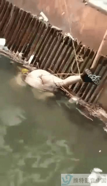 不知道是意外还是怎样，但看上去女孩应该年纪也不大，估计是和感情有关吧。