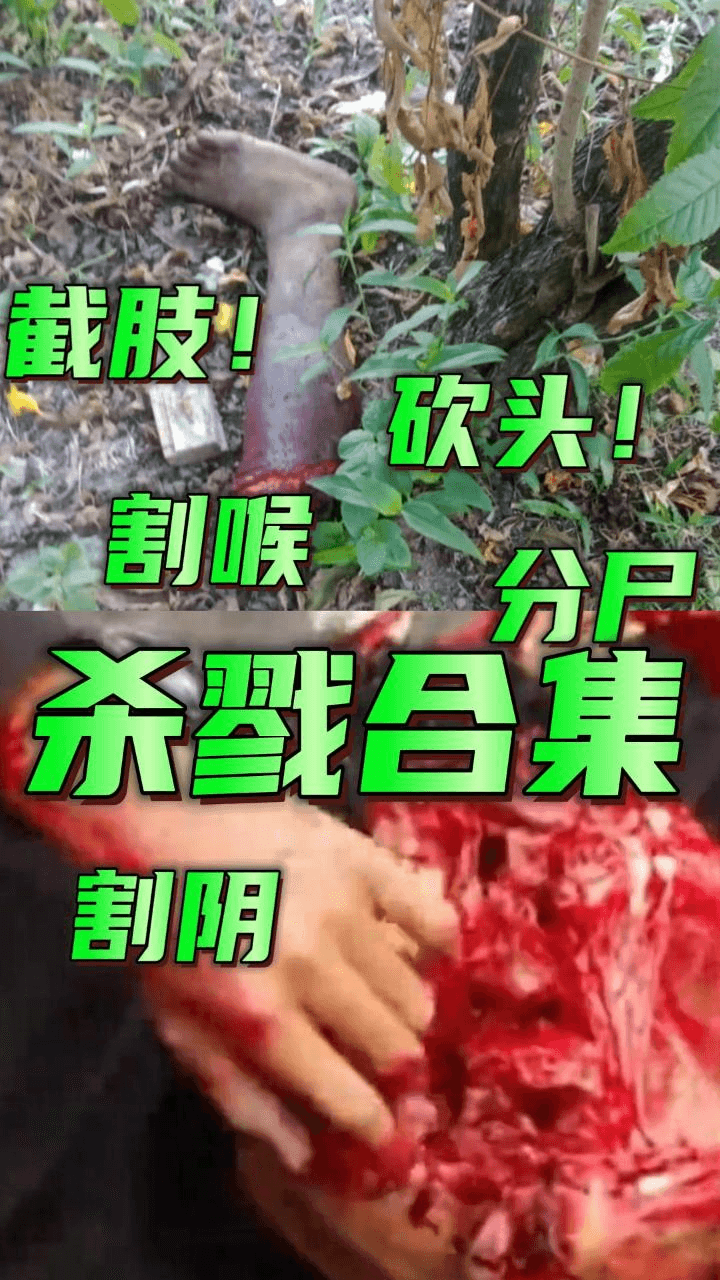 割阴砍头断肢割喉分尸合集