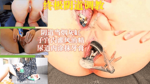 国产终极阴道调教，阴道烟灰缸，子宫灌风油 精，尿道涂牙膏