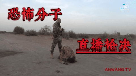 isis南非处决