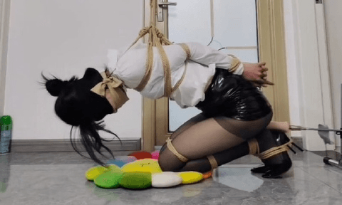 【欢乐谷原创】被绑架的女主播跑基放置版