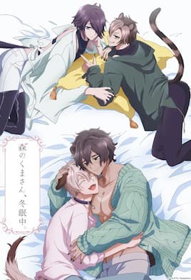 森林里的熊先生，冬眠中。 9