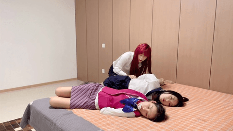 【云雀工作室】邪恶家教续集