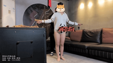 【雨辰工作室】训犬实录之汐汐圈养日记