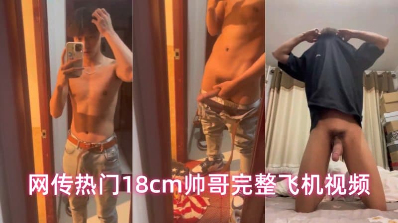 网传热门18cm帅哥完整飞机视频
