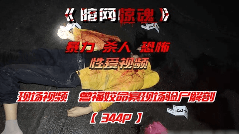 现场视频曾福姣命案现场验尸解剖【344P】