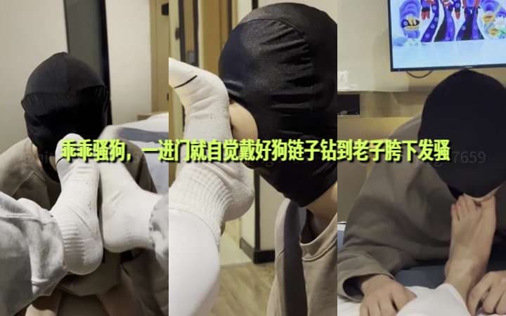 粗口调教骚狗原创：长沙出差的乖乖骚狗，一进门就自觉戴好狗链子钻到老子胯下发骚