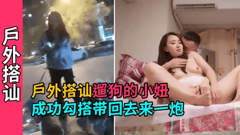 【真实搭讪少妇】小伙晚上遛狗搭讪贵妇小妞，居然成功带回家操了