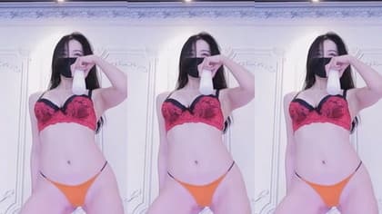 KBJ-24052212