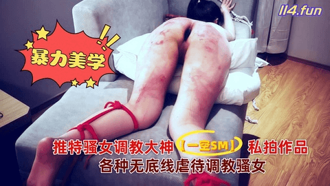 暴力美学 推特骚女调教大神【一空SM】私拍作品 各种无底线虐待调教骚女