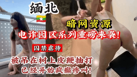 缅北系列重磅来袭