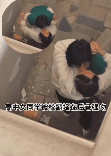 高中女同学被校霸堵在后巷强吻