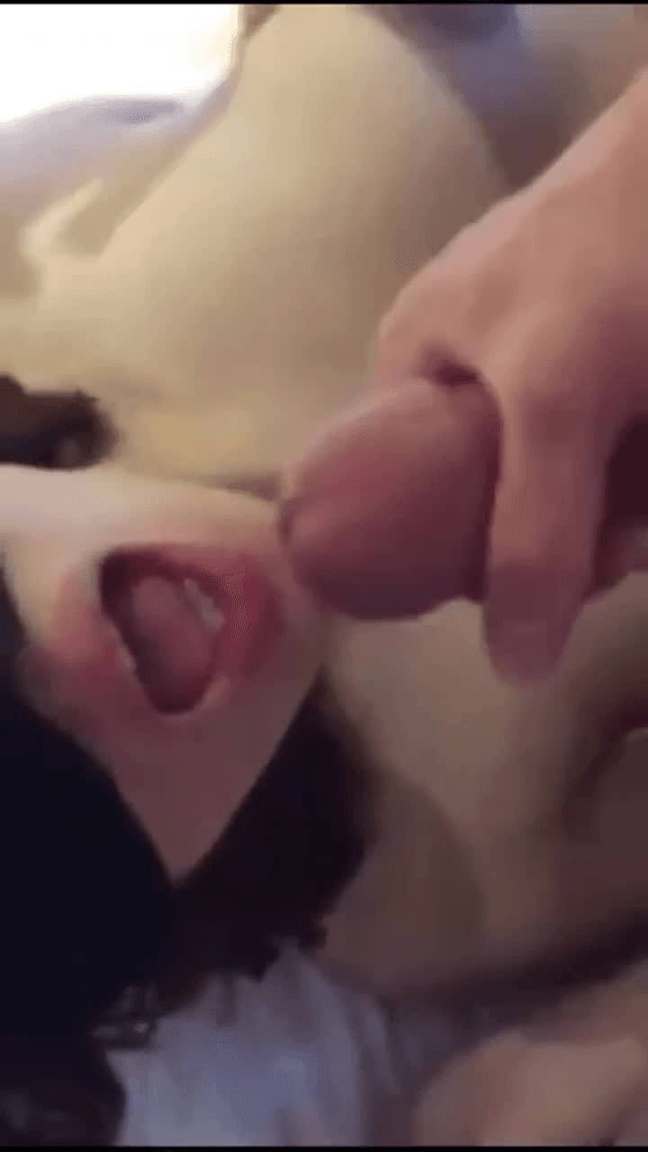 有单女或者夫妻一起吗？