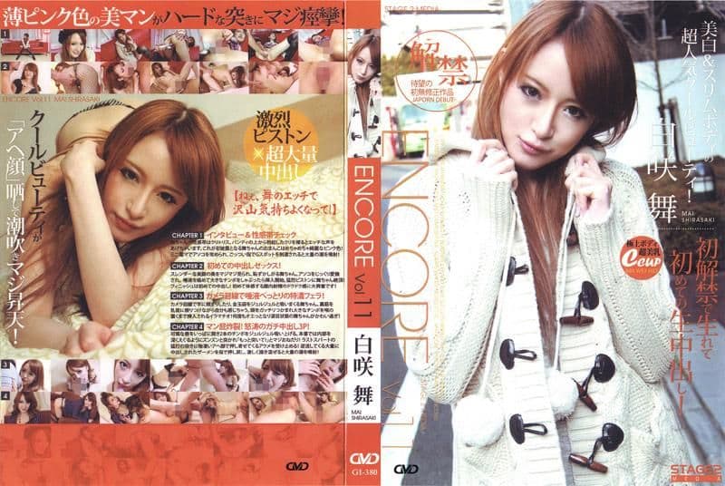 安可 11 GI-380
