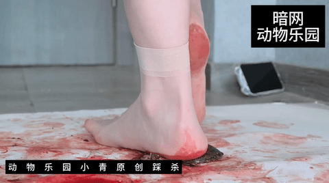 动物乐园原创踩，高中妹子的嫩足就是好看